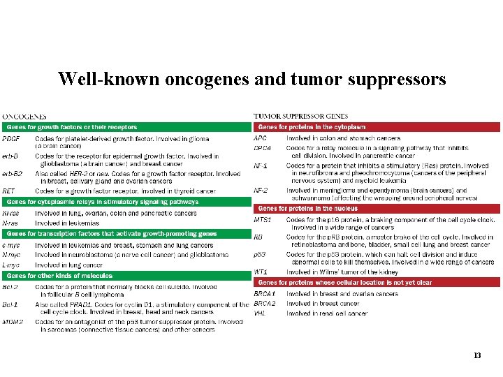 Well-known oncogenes and tumor suppressors 13 