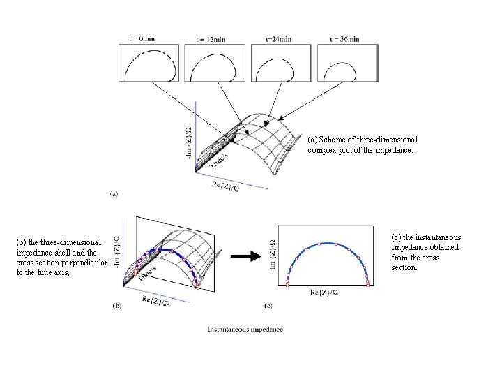 (a) Scheme of three-dimensional complex plot of the impedance, (b) the three-dimensional impedance shell