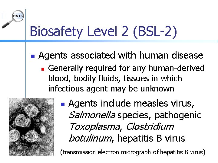 Biosafety Level 2 (BSL-2) n Agents associated with human disease n Generally required for