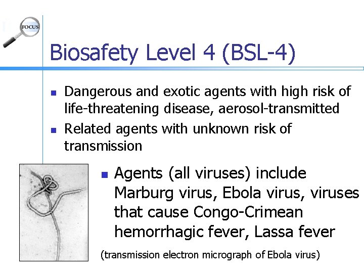 Biosafety Level 4 (BSL-4) n n Dangerous and exotic agents with high risk of