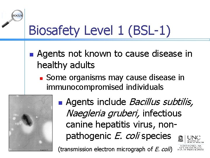 Biosafety Level 1 (BSL-1) n Agents not known to cause disease in healthy adults