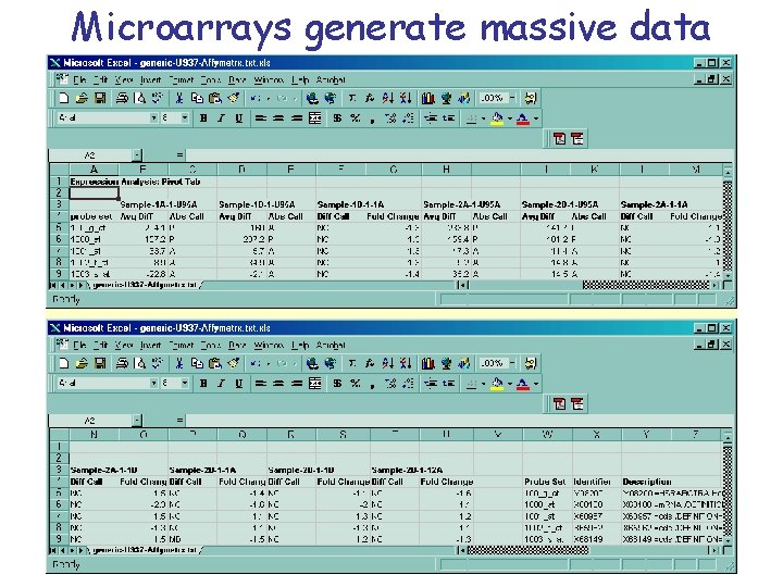 Microarrays generate massive data 