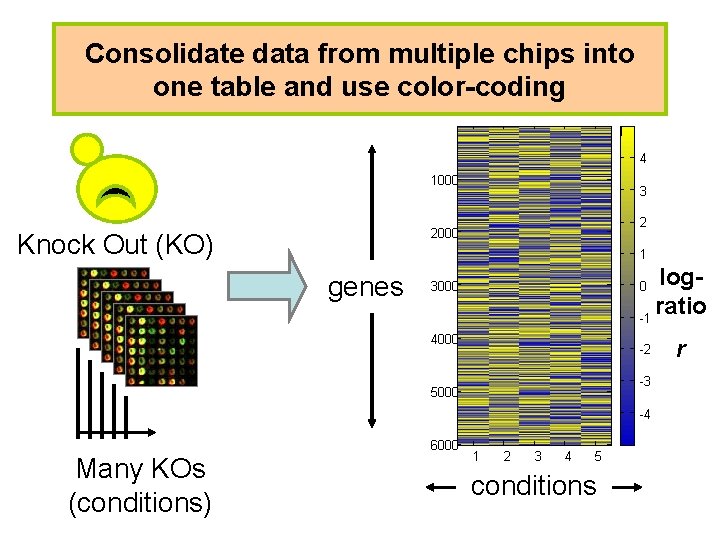 Consolidate data from multiple chips into one table and use color-coding 4 1000 3
