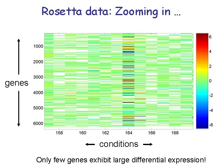 Rosetta data: Zooming in … genes conditions Only few genes exhibit large differential expression!