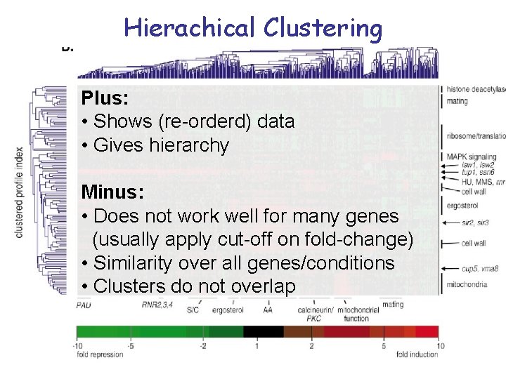 Hierachical Clustering Plus: • Shows (re-orderd) data • Gives hierarchy Minus: • Does not