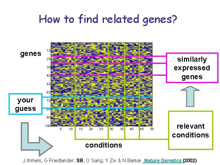 How to find related genes? genes 10 similarly expressed genes 20 30 40 50