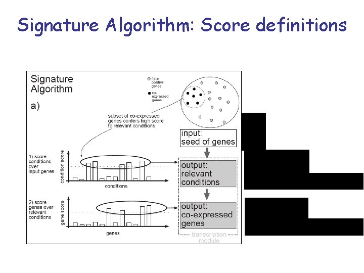 Signature Algorithm: Score definitions 