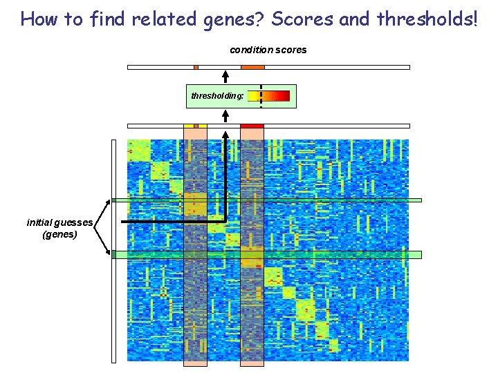 How to find related genes? Scores and thresholds! condition scores thresholding: initial guesses (genes)