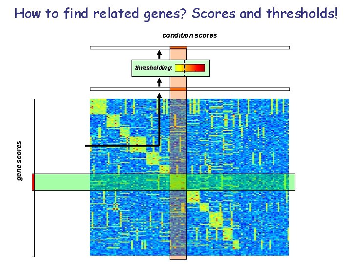 How to find related genes? Scores and thresholds! condition scores gene scores thresholding: 