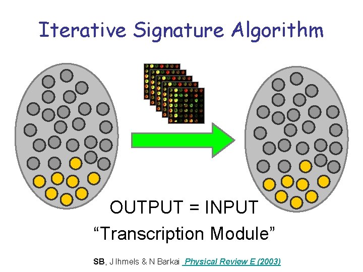 Iterative Signature Algorithm OUTPUT = INPUT “Transcription Module” OUTPUT SB, J Ihmels & N