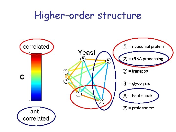 Higher-order structure correlated C anticorrelated 