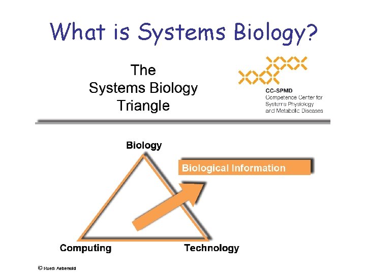 What is Systems Biology? 