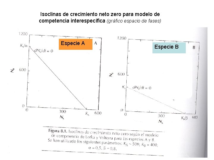 Isoclinas de crecimiento neto zero para modelo de competencia interespecífica (gráfico espacio de fases)