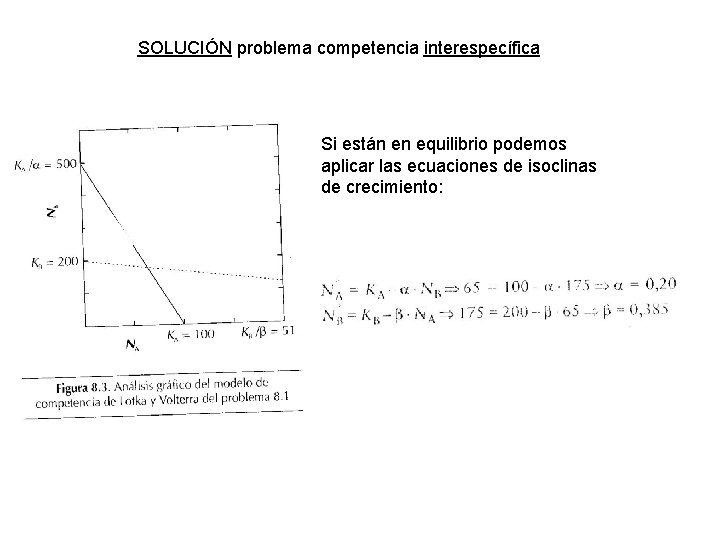 SOLUCIÓN problema competencia interespecífica Si están en equilibrio podemos aplicar las ecuaciones de isoclinas