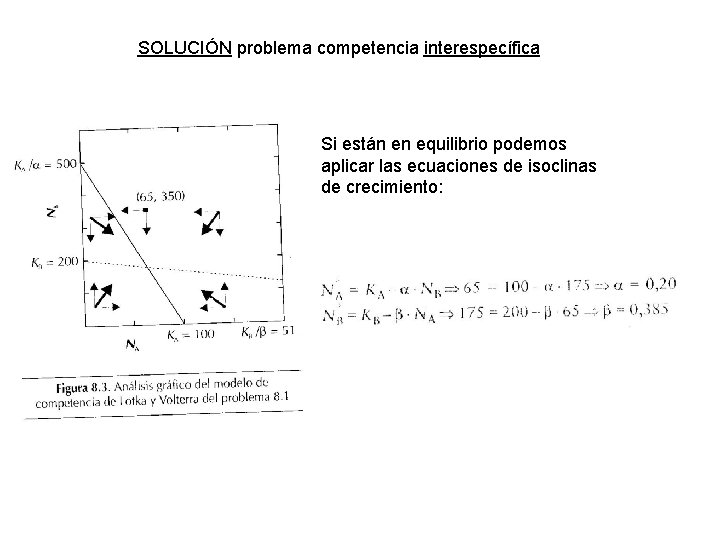 SOLUCIÓN problema competencia interespecífica Si están en equilibrio podemos aplicar las ecuaciones de isoclinas