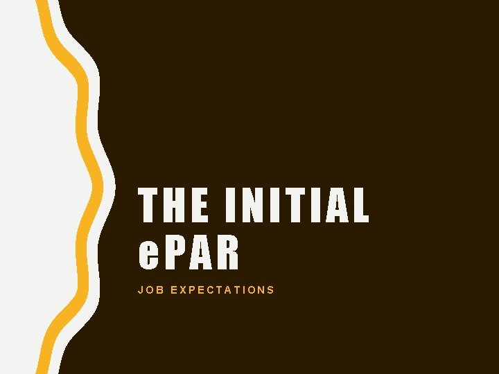 THE INITIAL e. PAR JOB EXPECTATIONS 