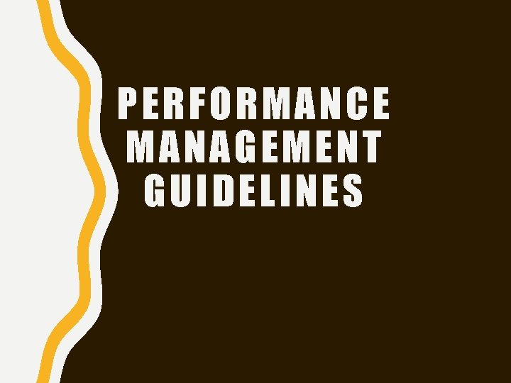 PERFORMANCE MANAGEMENT GUIDELINES 