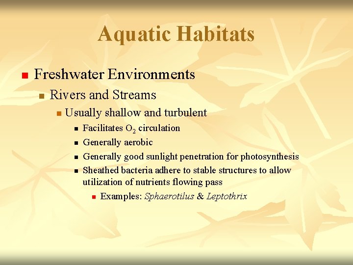 Aquatic Habitats n Freshwater Environments n Rivers and Streams n Usually shallow and turbulent