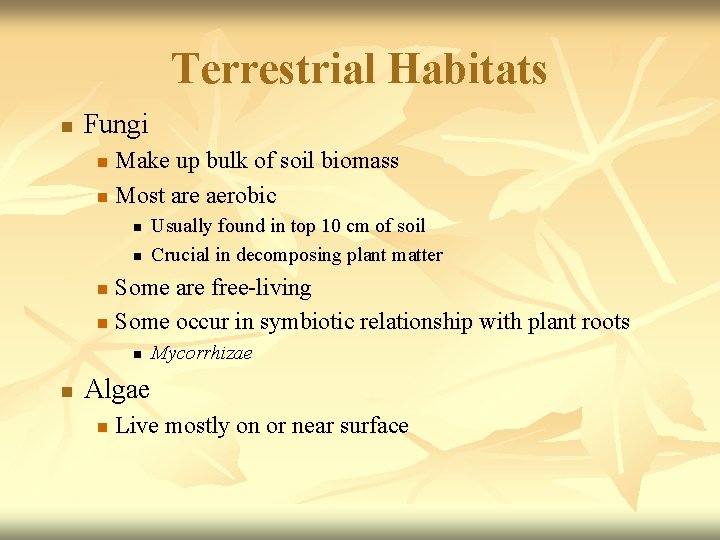Terrestrial Habitats n Fungi Make up bulk of soil biomass n Most are aerobic