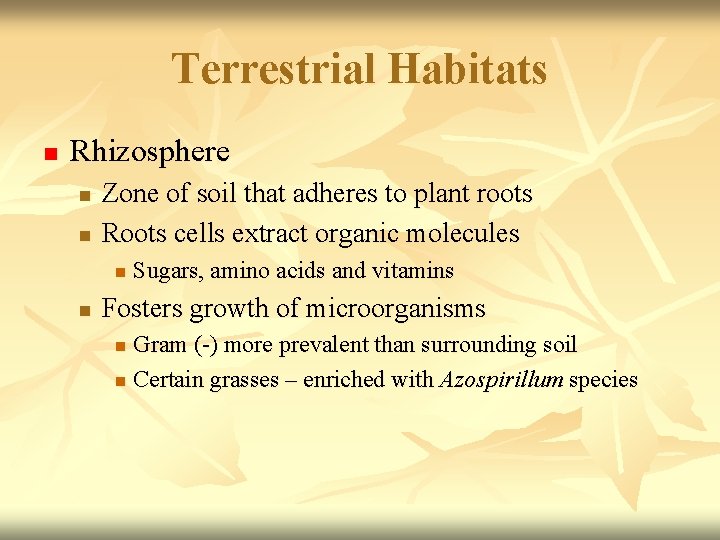 Terrestrial Habitats n Rhizosphere n n Zone of soil that adheres to plant roots