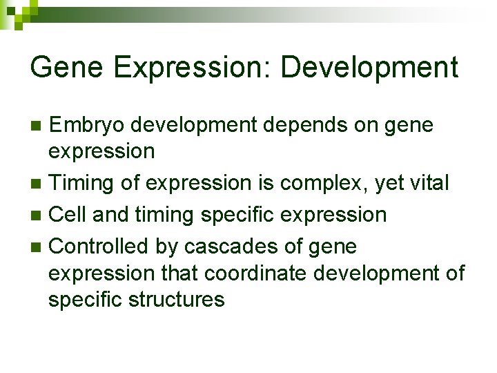 Gene Expression: Development Embryo development depends on gene expression n Timing of expression is