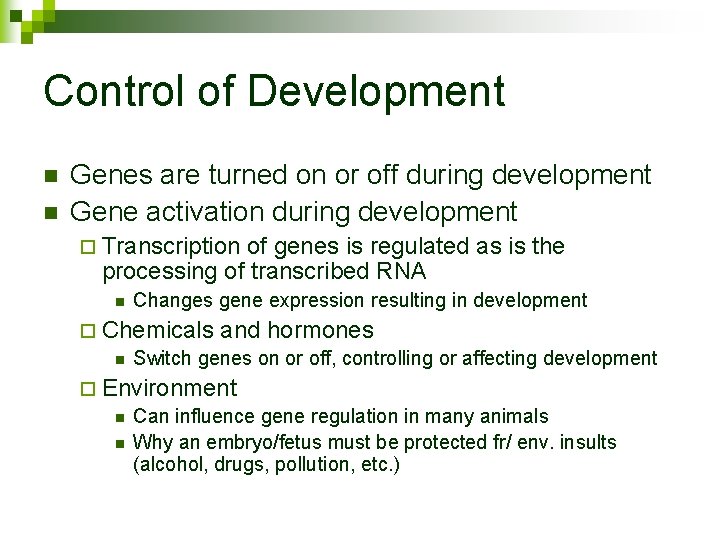 Control of Development n n Genes are turned on or off during development Gene