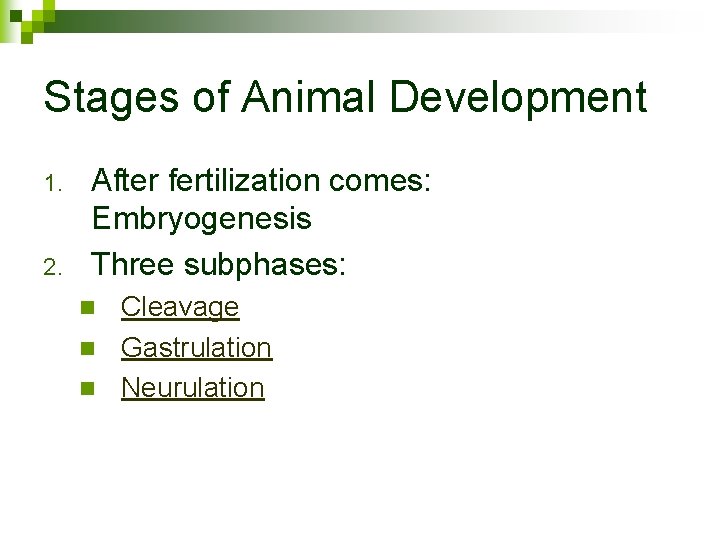 Stages of Animal Development 1. 2. After fertilization comes: Embryogenesis Three subphases: Cleavage n