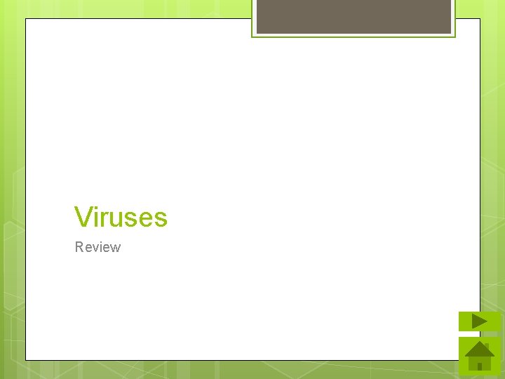 Viruses Review 