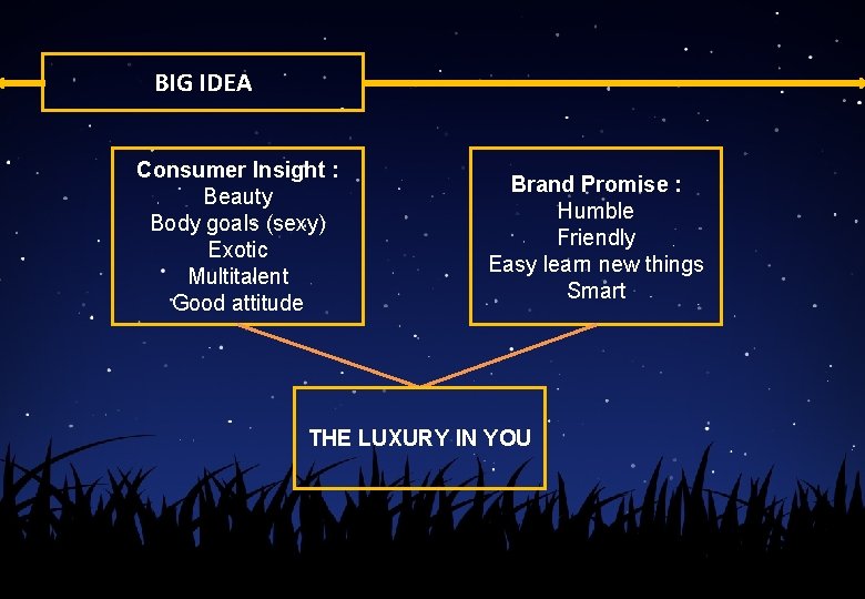 BIG IDEA Consumer Insight : Beauty Body goals (sexy) Exotic Multitalent Good attitude Brand