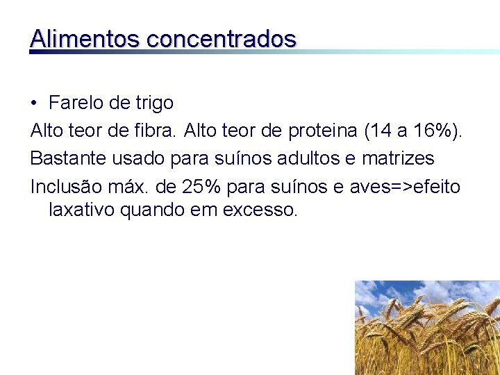 Alimentos concentrados • Farelo de trigo Alto teor de fibra. Alto teor de proteina