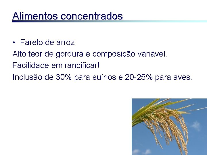 Alimentos concentrados • Farelo de arroz Alto teor de gordura e composição variável. Facilidade