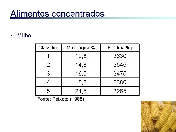 Alimentos concentrados • Milho Classific. Max. água % E. D kcal/kg 1 2 12,