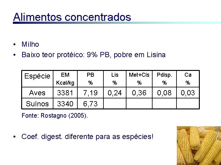 Alimentos concentrados • Milho • Baixo teor protéico: 9% PB, pobre em Lisina Espécie