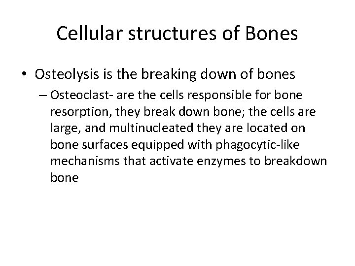 Cellular structures of Bones • Osteolysis is the breaking down of bones – Osteoclast-