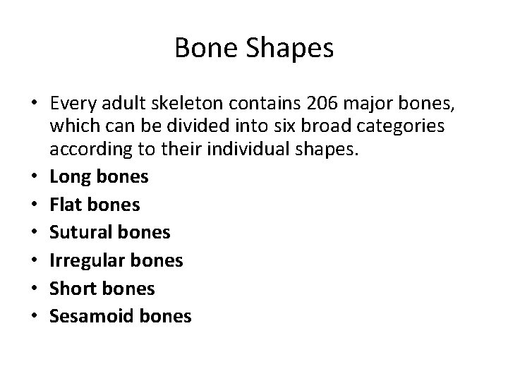 Bone Shapes • Every adult skeleton contains 206 major bones, which can be divided