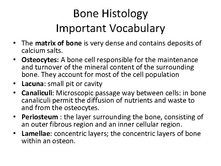 Bone Histology Important Vocabulary • The matrix of bone is very dense and contains