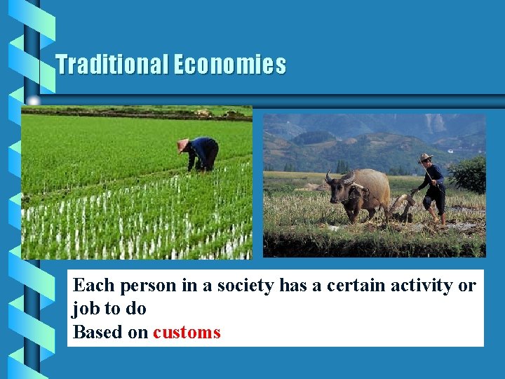Traditional Economies Each person in a society has a certain activity or job to