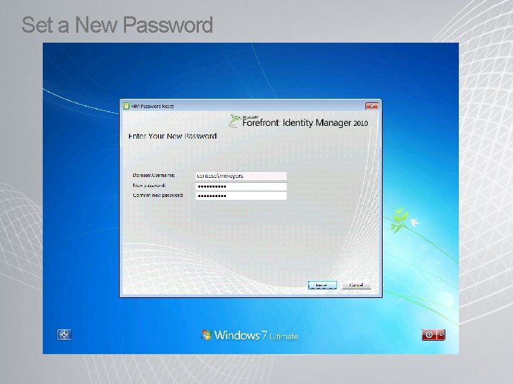 Set a New Password 