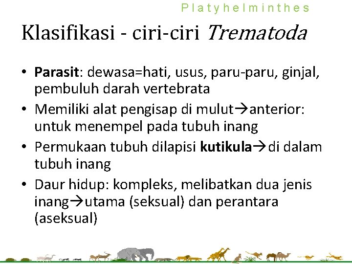 Platyhelminthes Klasifikasi - ciri-ciri Trematoda • Parasit: dewasa=hati, usus, paru-paru, ginjal, pembuluh darah vertebrata