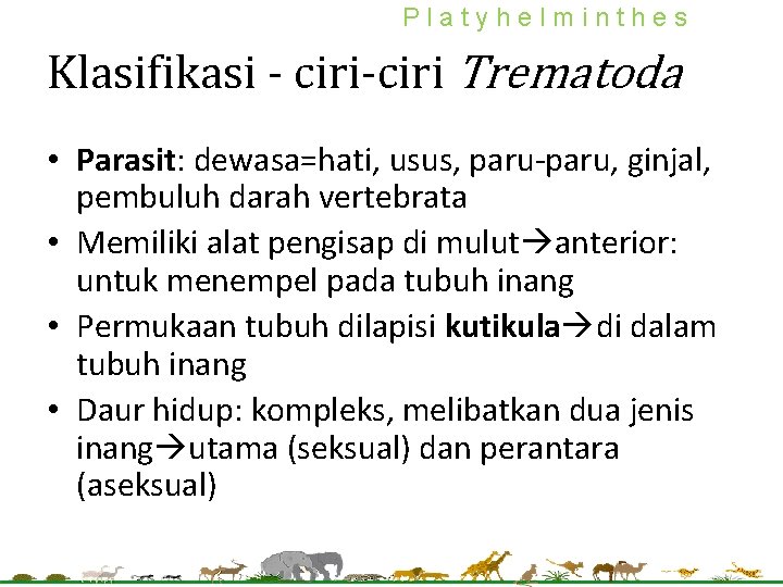 Platyhelminthes Klasifikasi - ciri-ciri Trematoda • Parasit: dewasa=hati, usus, paru-paru, ginjal, pembuluh darah vertebrata Platyhelminthes Klasifikasi - ciri-ciri Trematoda • Parasit: dewasa=hati, usus, paru-paru, ginjal, pembuluh darah vertebrata