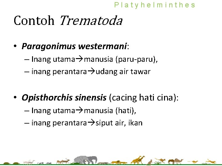 Platyhelminthes Contoh Trematoda • Paragonimus westermani: – Inang utama manusia (paru-paru), – inang perantara