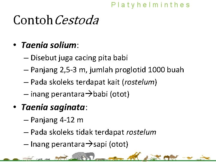 Platyhelminthes Contoh. Cestoda • Taenia solium: – Disebut juga cacing pita babi – Panjang Platyhelminthes Contoh. Cestoda • Taenia solium: – Disebut juga cacing pita babi – Panjang