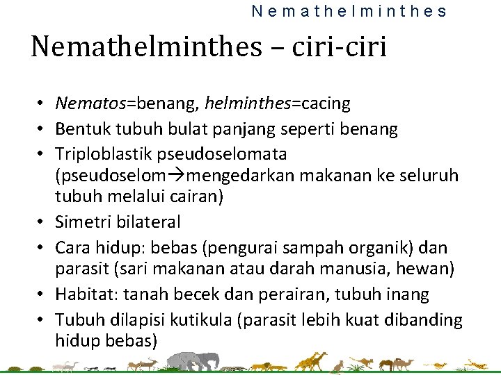 Nemathelminthes – ciri-ciri • Nematos=benang, helminthes=cacing • Bentuk tubuh bulat panjang seperti benang • Nemathelminthes – ciri-ciri • Nematos=benang, helminthes=cacing • Bentuk tubuh bulat panjang seperti benang •