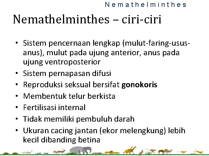 Nemathelminthes – ciri-ciri • Sistem pencernaan lengkap (mulut-faring-ususanus), mulut pada ujung anterior, anus pada Nemathelminthes – ciri-ciri • Sistem pencernaan lengkap (mulut-faring-ususanus), mulut pada ujung anterior, anus pada