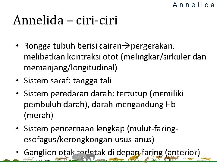 Annelida – ciri-ciri • Rongga tubuh berisi cairan pergerakan, melibatkan kontraksi otot (melingkar/sirkuler dan Annelida – ciri-ciri • Rongga tubuh berisi cairan pergerakan, melibatkan kontraksi otot (melingkar/sirkuler dan