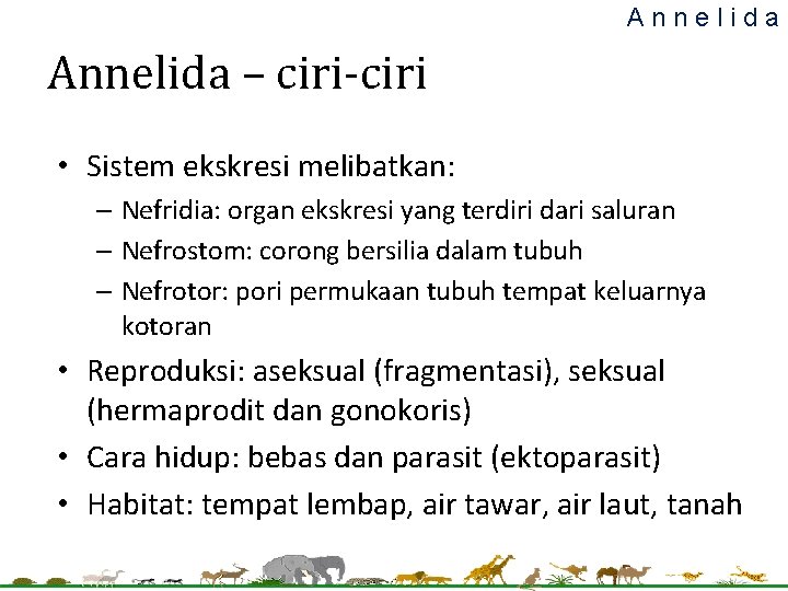 Annelida – ciri-ciri • Sistem ekskresi melibatkan: – Nefridia: organ ekskresi yang terdiri dari Annelida – ciri-ciri • Sistem ekskresi melibatkan: – Nefridia: organ ekskresi yang terdiri dari