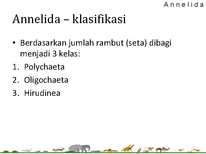 Annelida – klasifikasi • Berdasarkan jumlah rambut (seta) dibagi menjadi 3 kelas: 1. Polychaeta