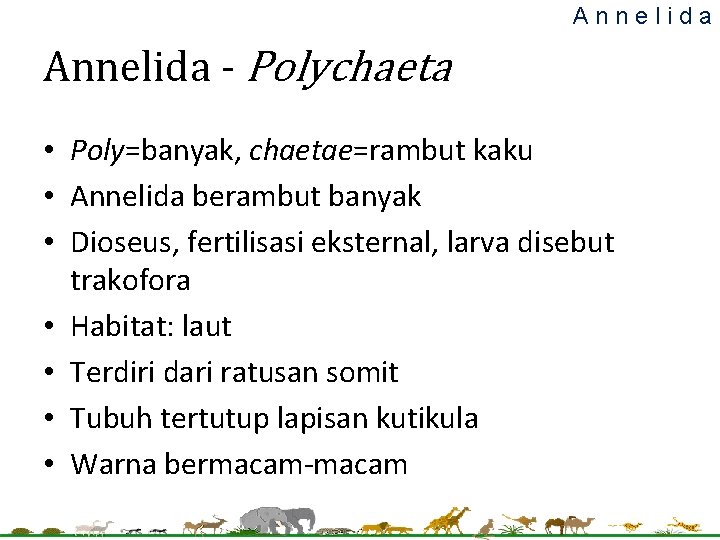 Annelida - Polychaeta • Poly=banyak, chaetae=rambut kaku • Annelida berambut banyak • Dioseus, fertilisasi Annelida - Polychaeta • Poly=banyak, chaetae=rambut kaku • Annelida berambut banyak • Dioseus, fertilisasi
