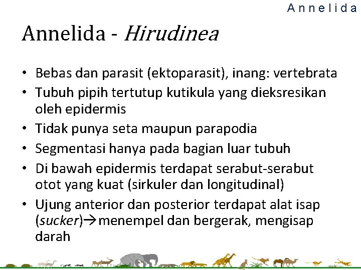 Annelida - Hirudinea • Bebas dan parasit (ektoparasit), inang: vertebrata • Tubuh pipih tertutup Annelida - Hirudinea • Bebas dan parasit (ektoparasit), inang: vertebrata • Tubuh pipih tertutup