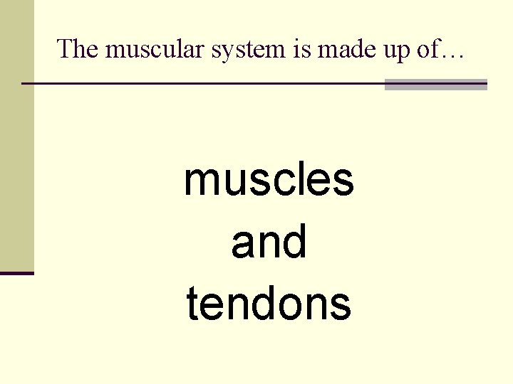 The muscular system is made up of… muscles and tendons 